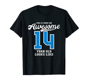 Funny shirts V-neck Tank top Hoodie sweatshirt usa uk au ca gifts for 14th Birthday Gift T-Shirt Awesome 14 Year Old 685290