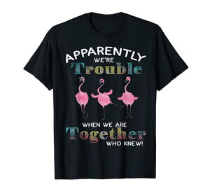 Funny shirts V-neck Tank top Hoodie sweatshirt usa uk au ca gifts for Apparently We're Trouble When We Are Together Flamingo Shirt 78557