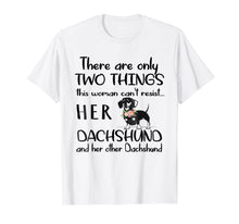 Load image into Gallery viewer, Funny shirts V-neck Tank top Hoodie sweatshirt usa uk au ca gifts for 2 Things Can&#39;t Resist Her Dog &amp; Her Other Dog Dachshund Tee 469305
