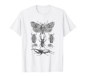 Funny shirts V-neck Tank top Hoodie sweatshirt usa uk au ca gifts for Insect Bug Collection Shirt Moth Stag Beetle Cicada T-Shirt 1209006