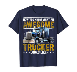 Funny shirts V-neck Tank top Hoodie sweatshirt usa uk au ca gifts for Awesome Trucker Big Rig Semi-Trailer Truck Driver Gift Men T-Shirt 363090