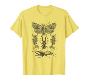Funny shirts V-neck Tank top Hoodie sweatshirt usa uk au ca gifts for Insect Bug Collection Shirt Moth Stag Beetle Cicada T-Shirt 1209006