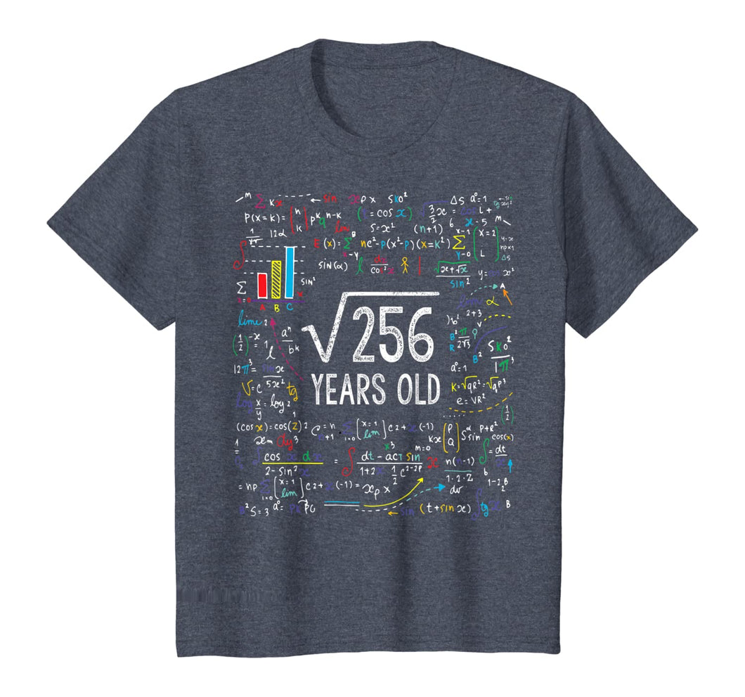 Square Root Of 256 16th Birthday 16 Year Old Gifts Math Bday T-Shirt