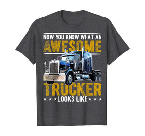 Funny shirts V-neck Tank top Hoodie sweatshirt usa uk au ca gifts for Awesome Trucker Big Rig Semi-Trailer Truck Driver Gift Men T-Shirt 363090