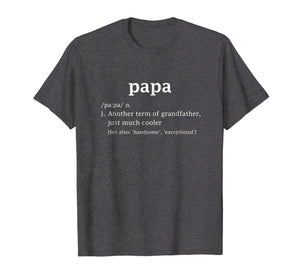 Papa Definition Funny Father's Day Gift For Grandpa T-Shirt