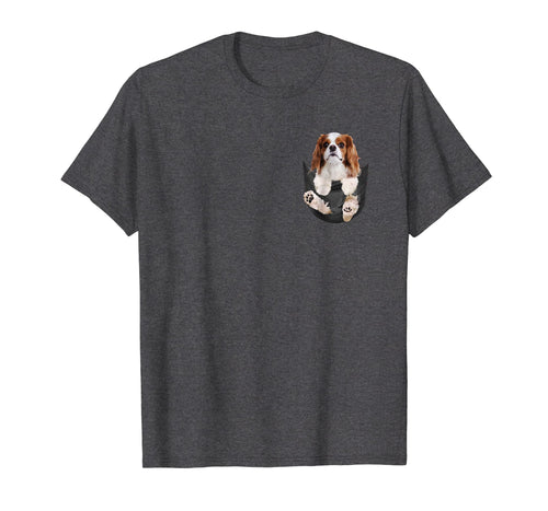 Funny shirts V-neck Tank top Hoodie sweatshirt usa uk au ca gifts for Dog in Your Pocket Cavalier King Charles Spaniels t shirt 1213057
