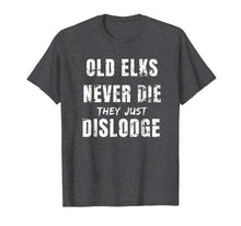 Load image into Gallery viewer, Funny shirts V-neck Tank top Hoodie sweatshirt usa uk au ca gifts for Lodge Member T-shirt Old Elks Never Die They Just Dislodge 1718153
