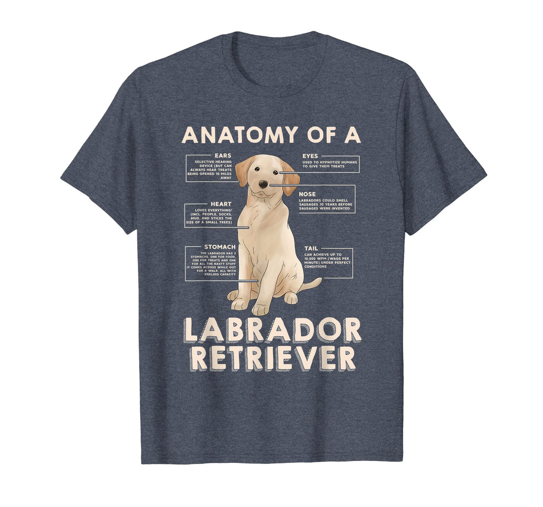 Funny shirts V-neck Tank top Hoodie sweatshirt usa uk au ca gifts for Funny Labrador Retriever TShirt for Lab Lovers 855283