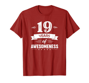 Funny shirts V-neck Tank top Hoodie sweatshirt usa uk au ca gifts for 19 Years Of Awesomeness T-shirt Birthday Gift T-Shirt 1829787