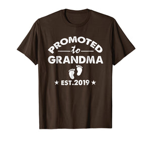 Funny shirts V-neck Tank top Hoodie sweatshirt usa uk au ca gifts for Promoted to Grandma est 2019 T-shirt 1056741
