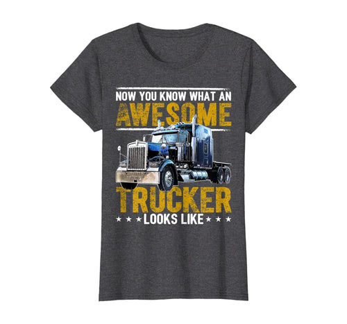 Funny shirts V-neck Tank top Hoodie sweatshirt usa uk au ca gifts for Awesome Trucker Big Rig Semi-Trailer Truck Driver Gift Men T-Shirt 363090