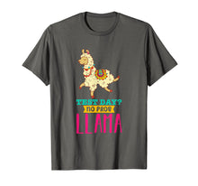 Load image into Gallery viewer, Funny shirts V-neck Tank top Hoodie sweatshirt usa uk au ca gifts for Test Day No Probllama T Shirt Llama Gift School Professor 1703748
