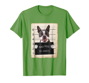 Funny shirts V-neck Tank top Hoodie sweatshirt usa uk au ca gifts for Boston terrier dog mug shot bad dog Shirt 1378769