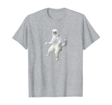 Load image into Gallery viewer, Persian Cat Room Guardian Meme Tshirt
